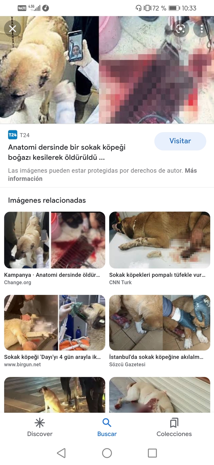 Hayvanlara verilen zararın intikamını kim alıcak?