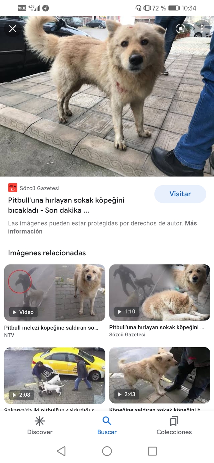 Hayvanlara verilen zararın intikamını kim alıcak?
