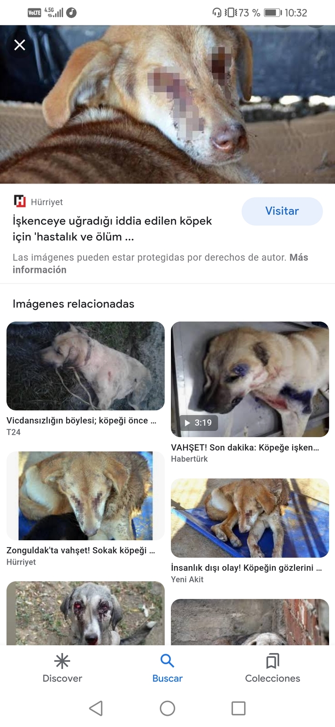 Hayvanlara verilen zararın intikamını kim alıcak?