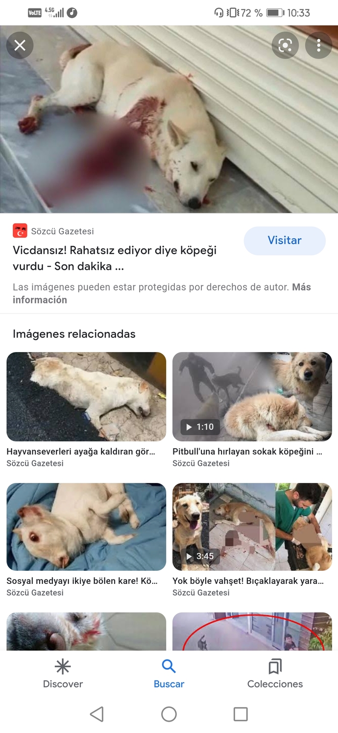 Hayvanlara verilen zararın intikamını kim alıcak?