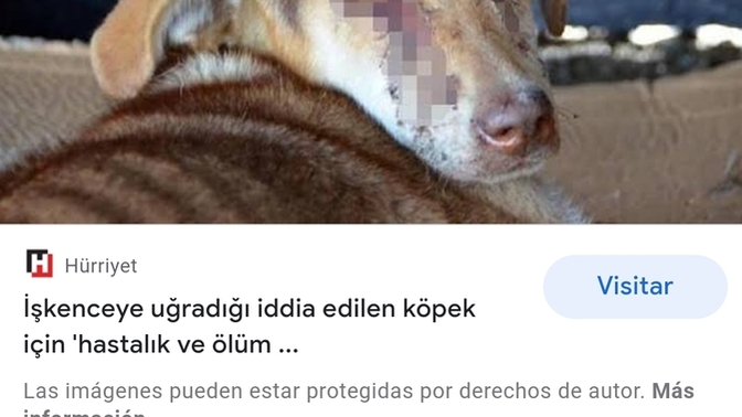 Hayvanlara verilen zararın intikamını kim alıcak?