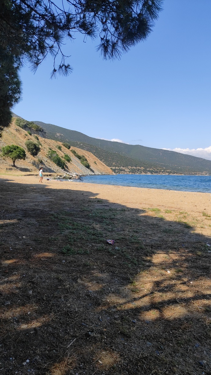 Pazar kahvaltısına ne yapsak gençler?