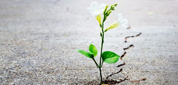 Nasipten öte yol yok sözü doğru mudur? Anlamı nedir?