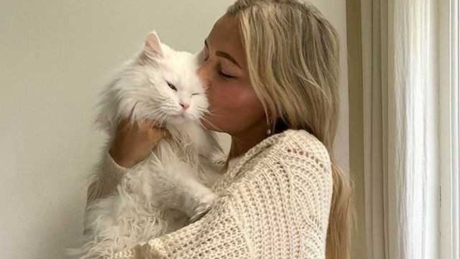 Kedi öpmek pis bir şey mi?