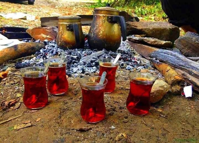 Çay Severmisin?