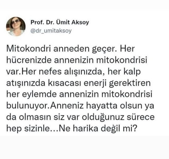 Çevrenizde anne olmayı hak etmediğini düşündüğünüz kadınlar oldu mu?