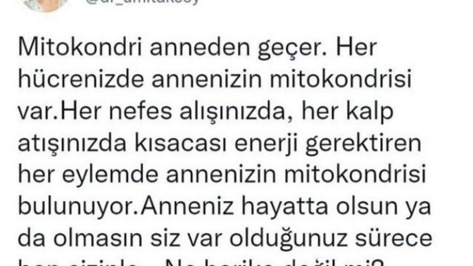 Çevrenizde anne olmayı hak etmediğini düşündüğünüz kadınlar oldu mu?