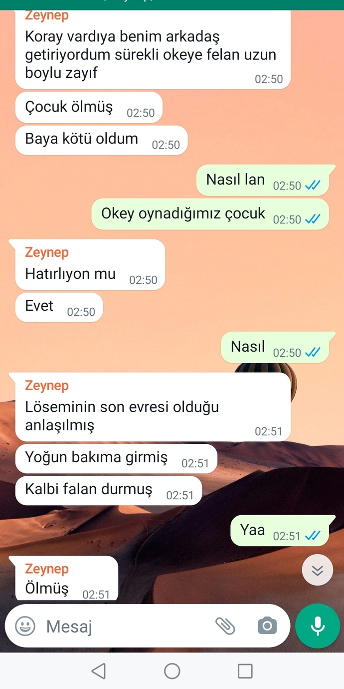 Atılmasını istemediğiniz bir mesaj var mı?