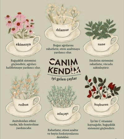Bitki çaylarını seviyor musunuz?