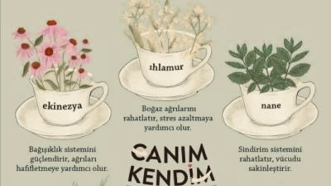 Bitki çaylarını seviyor musunuz?