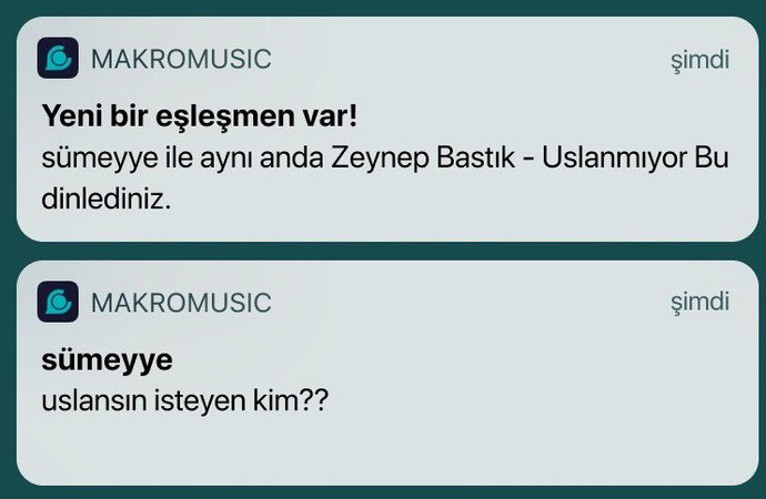 Hayatınızda hiç uslanmayan birini ister miydiniz?