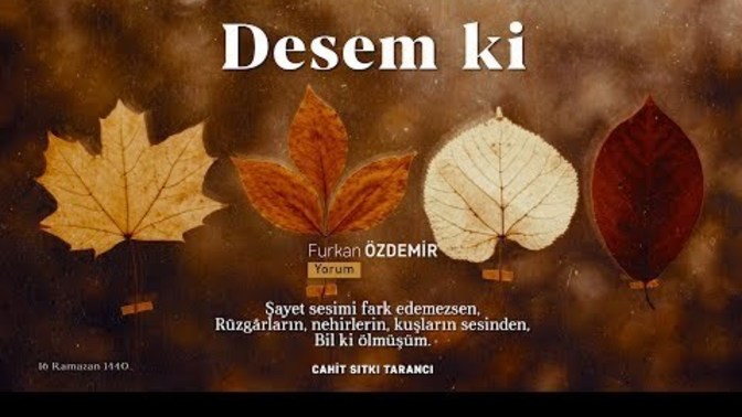 Video yüklesin diye beklediğiniz youtube kanalı var mı?
