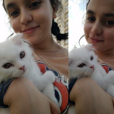 Pamuğa bakar mısınız bu nasıl güzellik böyle?