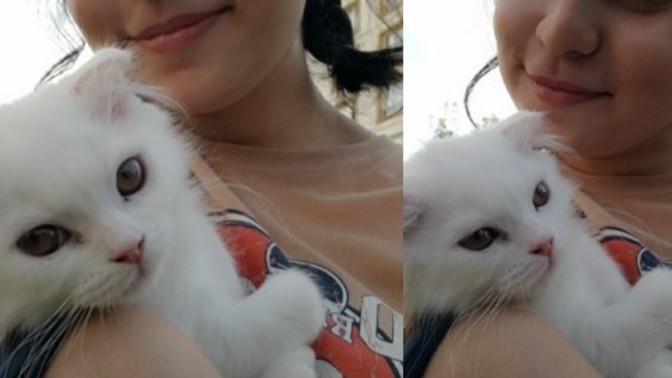 Pamuğa bakar mısınız bu nasıl güzellik böyle?