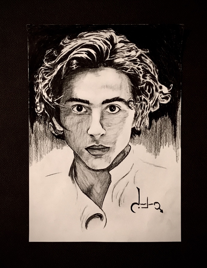 Timothee Chamelet oyunculuğunu beğeniyor musunuz?