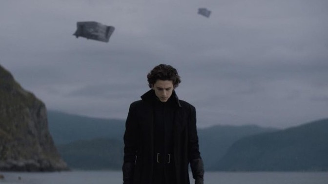 Timothee Chamelet oyunculuğunu beğeniyor musunuz?