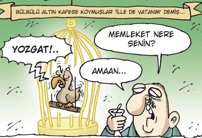 Aslen nerelisiniz 💕?