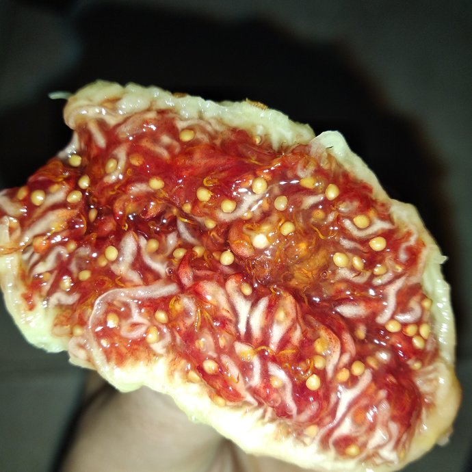 İncimden alır mısınız?