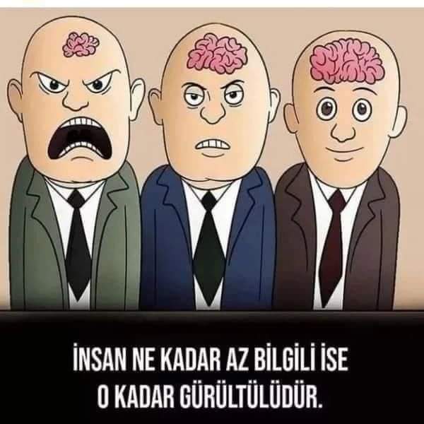 Cehalet mi mutluluktur yoksa bilgili olmak mı erdemdir?