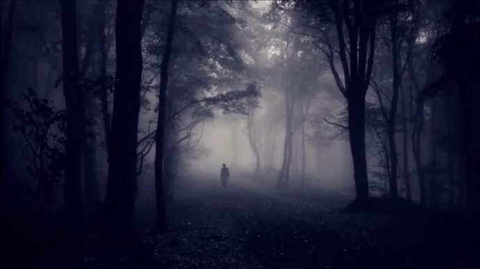 Gece ıssız yerlerde tek başınıza saatlerce gezebilir misiniz orada bir işiniz varsa halledebilmek için tek kalır mısınız?