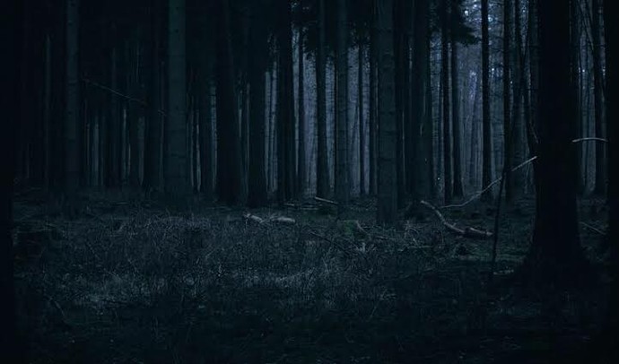 Gece ıssız yerlerde tek başınıza saatlerce gezebilir misiniz orada bir işiniz varsa halledebilmek için tek kalır mısınız?