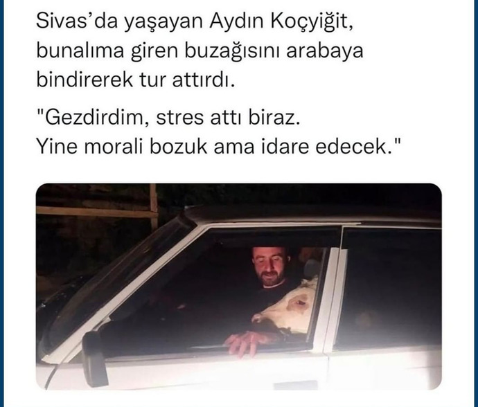 Şu kadar sevilsen yeter mi bir buzağı kadar olabildiniz mi?
