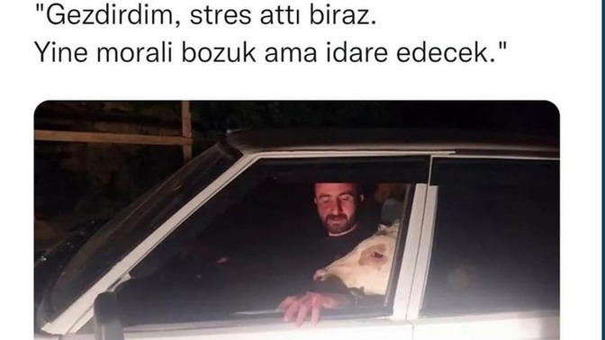 Şu kadar sevilsen yeter mi bir buzağı kadar olabildiniz mi?