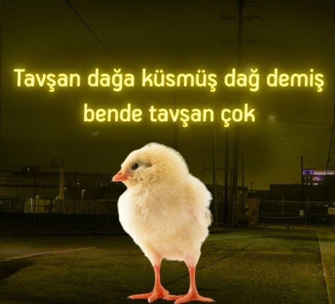 Birine küstüğünüzde karşı taraf umursamazsa ne yaparsınız?