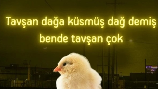 Birine küstüğünüzde karşı taraf umursamazsa ne yaparsınız?