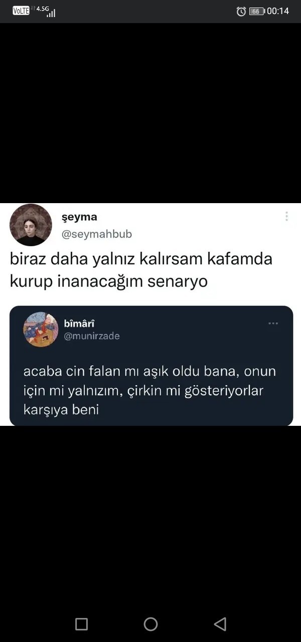 Bu yalnizligin sebebi ne?