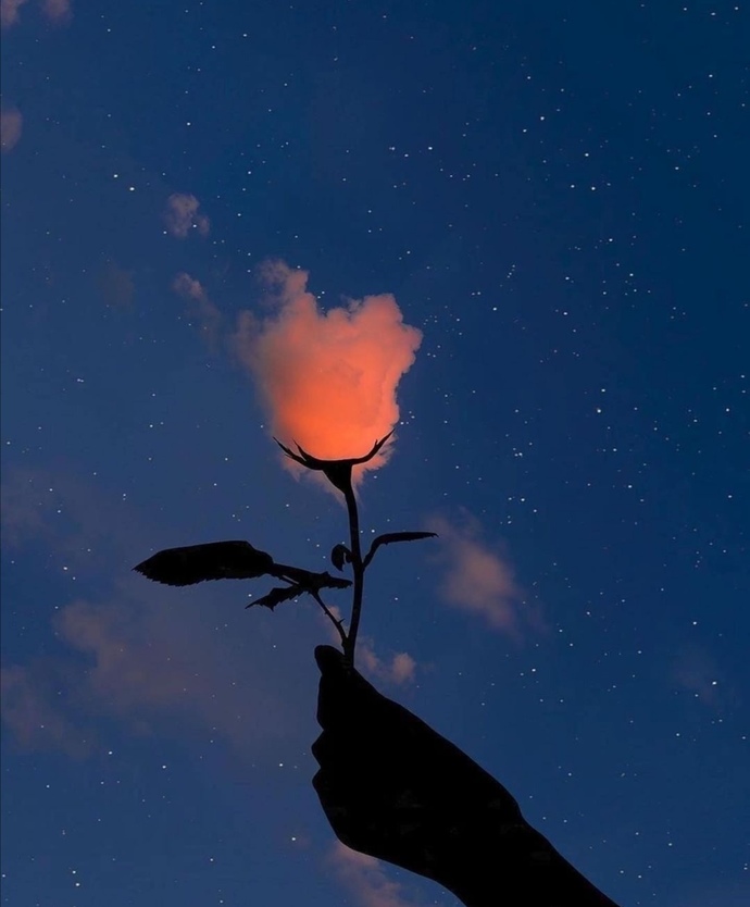 Gülümü aşıklara bırakıyorum 🌹