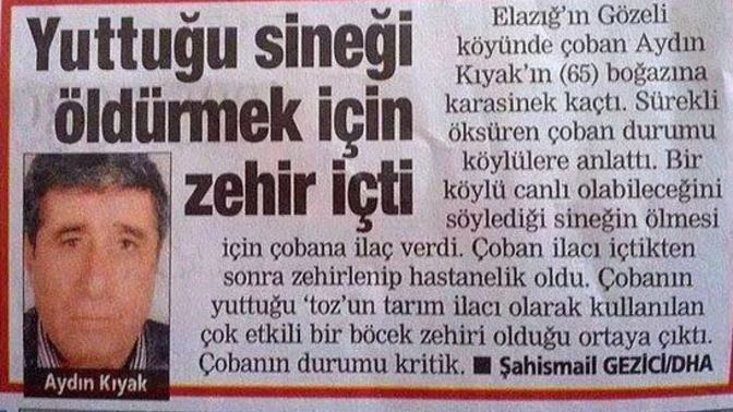 Bu ülkede en çok neye şaşırıyorsunuz?