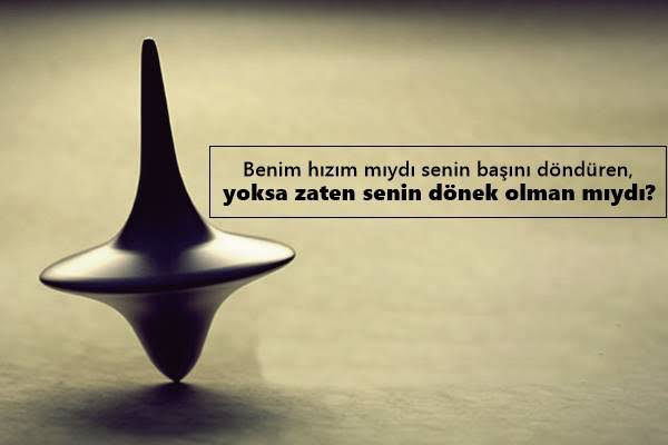 Dönek insanlara karşı nasıl bir tutum içindesiniz?