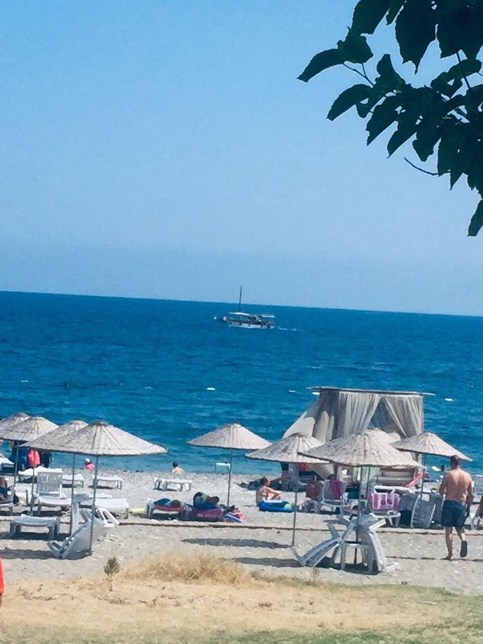Yüzme biliyor musun?