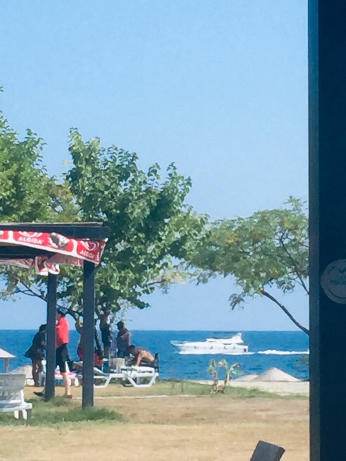 Yüzme biliyor musun?
