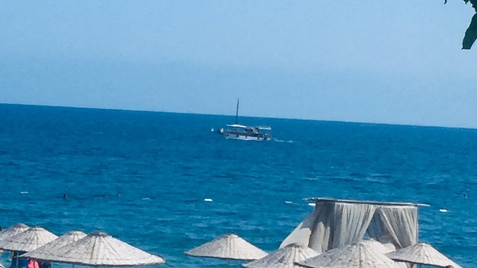 Yüzme biliyor musun?