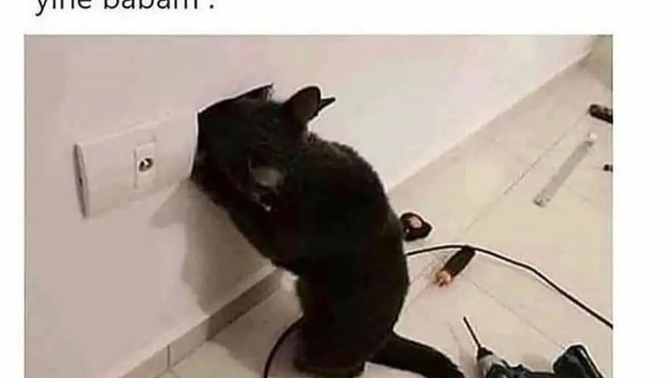 Evin tadilat tamirat işlerini yapan erkek çekici midir?