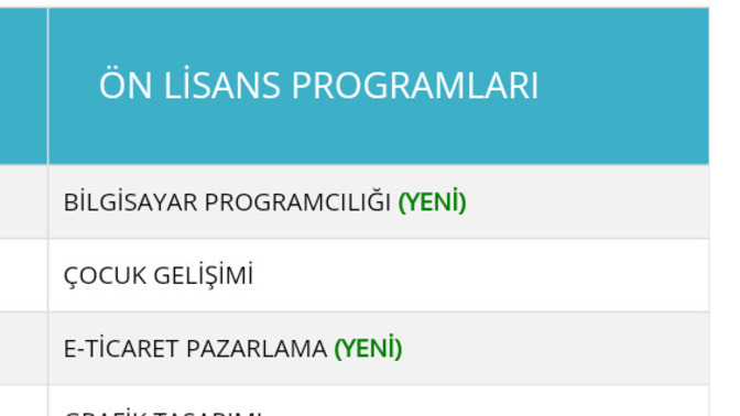 İkinci Üniversite Olarak hangi Bölümü seçmeliyim?