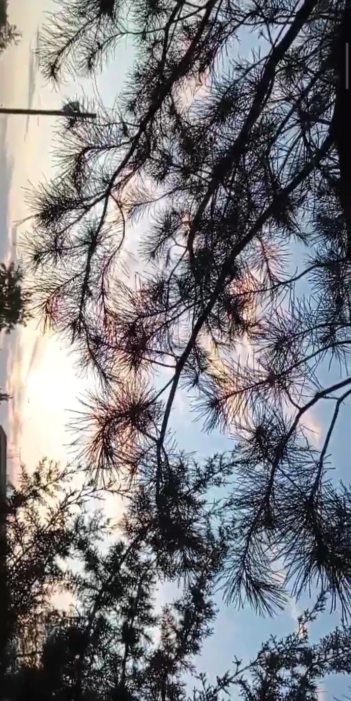 “Böylesine güzel bir gökyüzünün altında, bu kadar kötü insan nasıl yaşayabiliyor?” Dostoyevski🍂