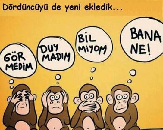 Çevrene duyarlı bir insan mısın?