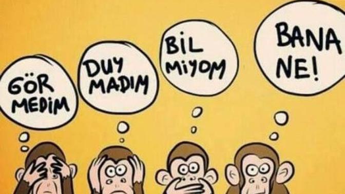 Çevrene duyarlı bir insan mısın?