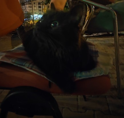 Sizi bugün ne mutlu etti?