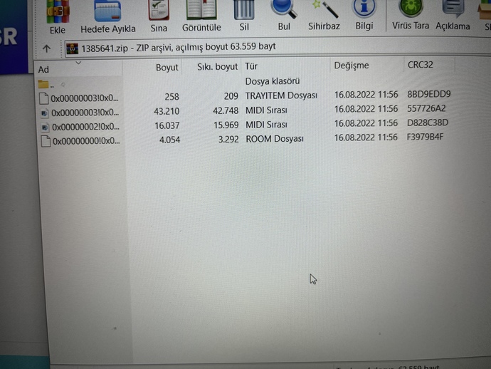 Sims4 mods indiremiyorum, neden olabilir?