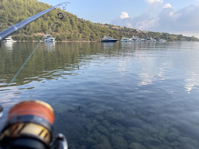 Günaydın millet! Bugün neye niyet ettiniz?