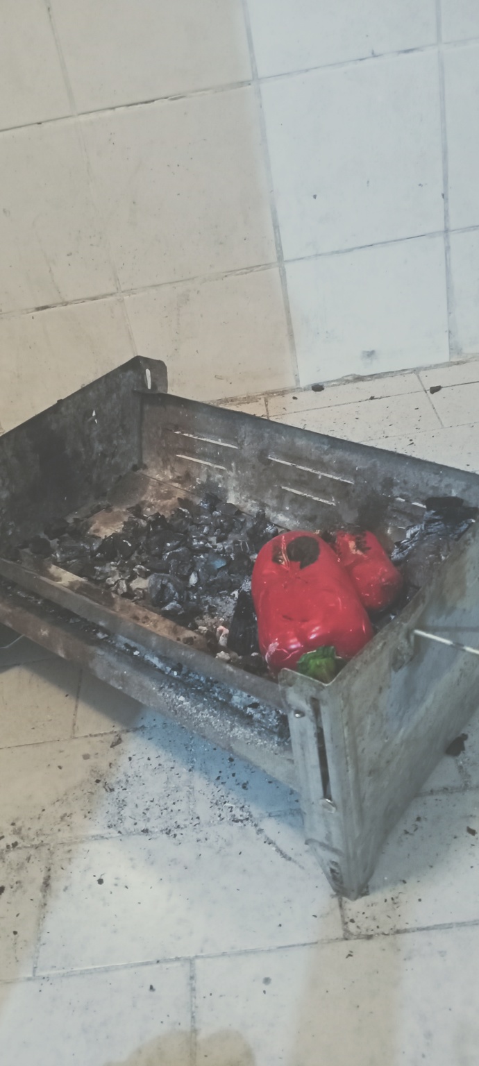 Mangal yakmayı sever misiniz?