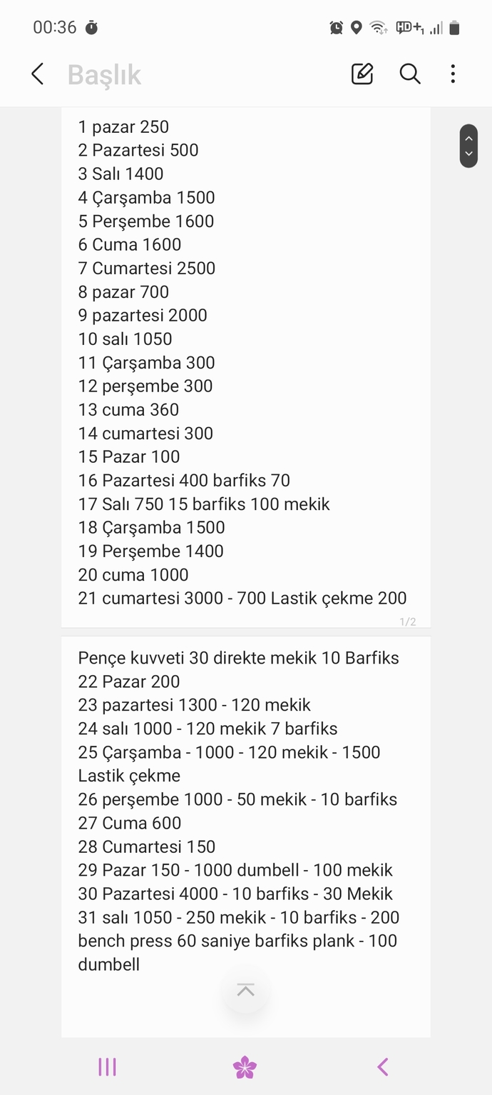 31 günde 33 bin şınav çektim. Sonuç nasıl olmuş?