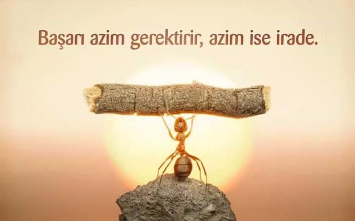 31 günde 33 bin şınav çektim. Sonuç nasıl olmuş?