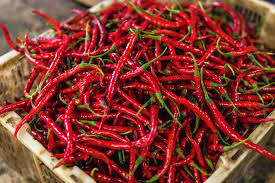 Güzel bir Yemek yerken en çok hangisi iştahınızı açar soğan mı yoksa acı biber mi turşu mu?