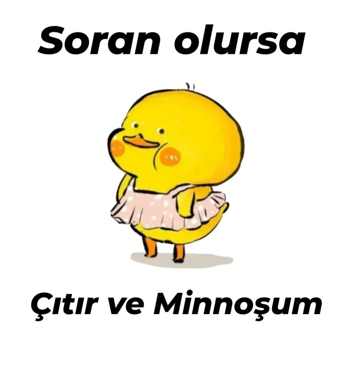 Kendinizi nasıl tanımlıyorsunuz?