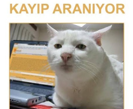 Ruh haliniz şu sıralar nasıl?